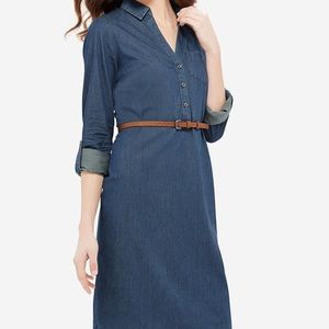 The Limited Chambray Ashton Shirt Dress